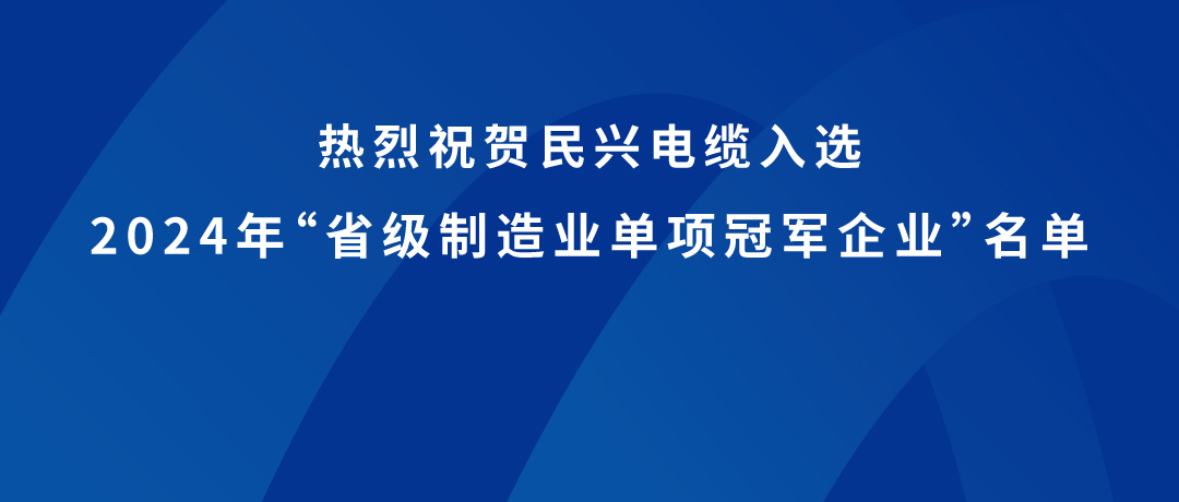 DB彩票
荣获广东省制造业单项冠军！